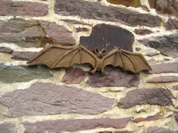Bat Gothic Dark Ornament Dark