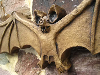 Bat Gothic Decor Vampire Dark