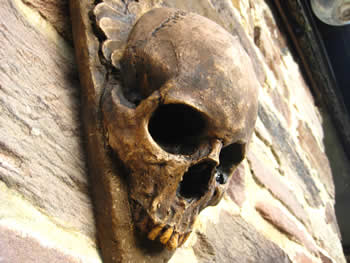 Winged Gothic Wall Skull Dark