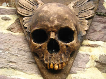 Winged Wall Hanging Skull Dark