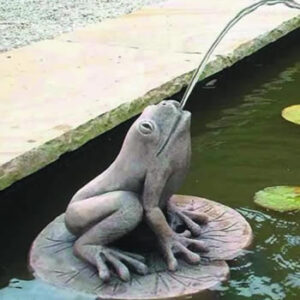 Froggy Fountain