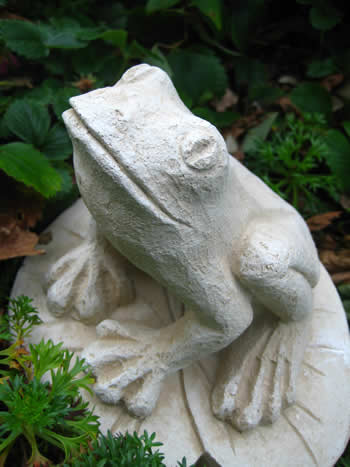 Small Lily Frog Pond Sculpture Pale